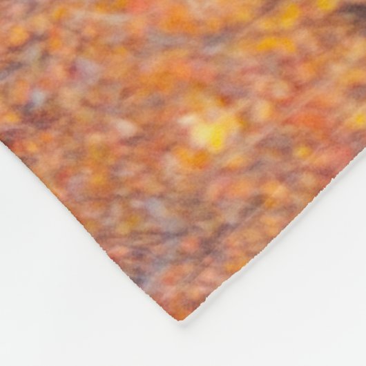 くまはDenaliの国立公園、秋のアラスカを動かします フリースブランケット (角)