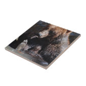 くまを浸すこと タイル (側面)