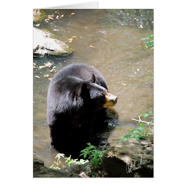 くまカード (正面)