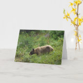 くまカード カード (黄色い花)