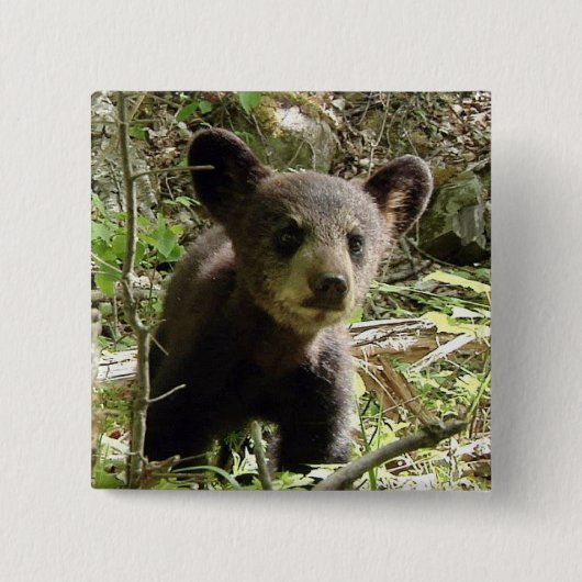 くまボタンを望んで下さい 缶バッジ (正面)