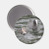 くま及びヒック磁石 マグネット (正面/裏面)