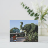 「くま家族」はカリフォルニアの郵便はがき訪問します ポストカード (スタンド正面)