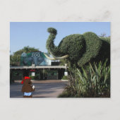 「くま家族」はカリフォルニアの郵便はがき訪問します ポストカード (正面)