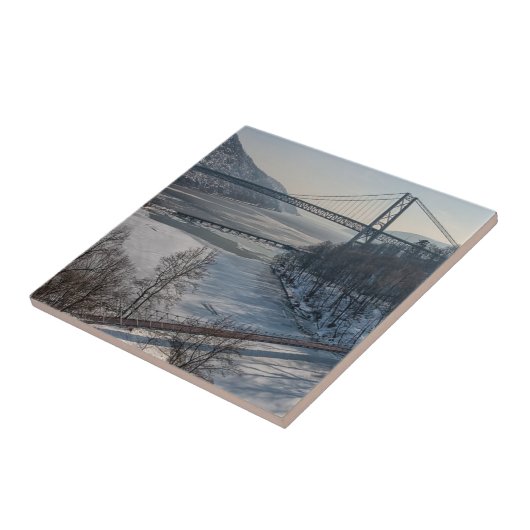 くま山橋 タイル (側面)