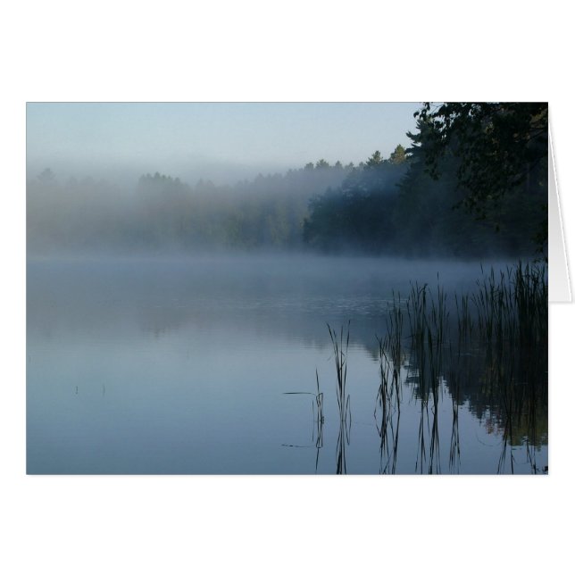 くま足の霧 (正面横)