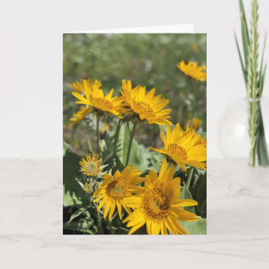 くま足山 カード (正面)