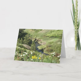 くま足山、ハバー、MT カード