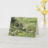 くま足山、ハバー、MT カード (黄色い花)