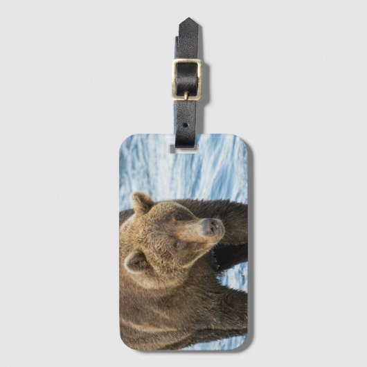 くま503の荷物のラベル ラゲッジタグ (正面縦)