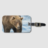 くま503の荷物のラベル ラゲッジタグ (正面横)