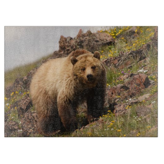 くま カッティングボード (正面)