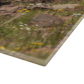 くま カッティングボード (角)