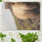 くま キッチンタオル (折り畳み)