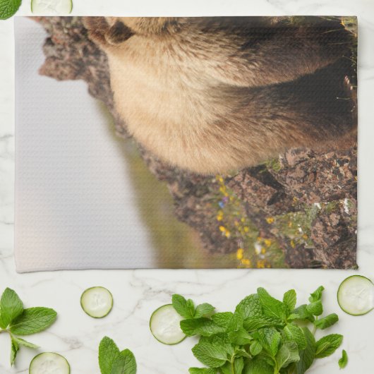 くま キッチンタオル (折り畳み)