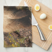 くま キッチンタオル (四つ折り)