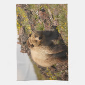 くま キッチンタオル (縦)