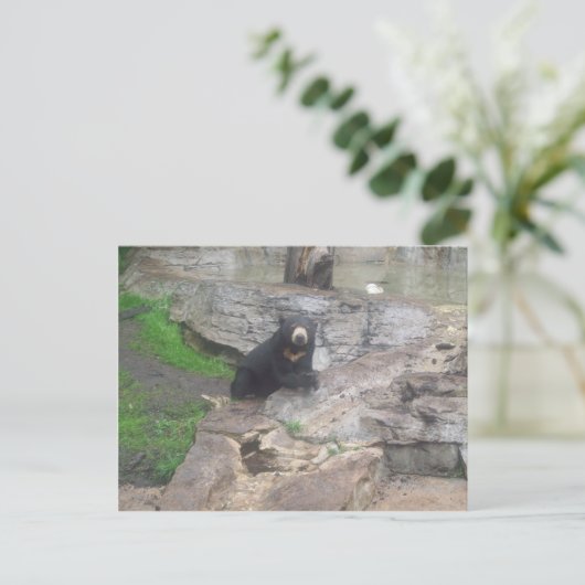 くま ポストカード (スタンド正面)