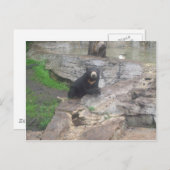 くま ポストカード (正面/裏面)