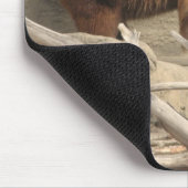 くま マウスパッド (コーナー)