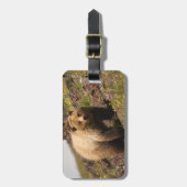 くま ラゲッジタグ (正面縦)