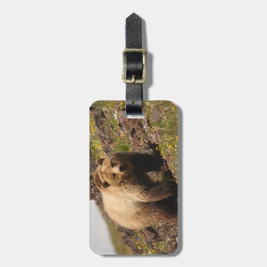 くま ラゲッジタグ (正面縦)