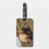 くま ラゲッジタグ (裏面縦)