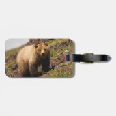 くま ラゲッジタグ (裏面横)