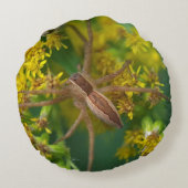 くものぬいぐるみ枕 ラウンドクッション (裏面)