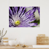 くものムーム(紫) ポスター (キッチン)