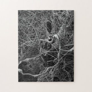 くもの卵袋パズル ジグソーパズル