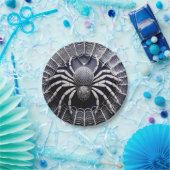 くもの巣おもしろいプレート ペーパープレート (パーティー)