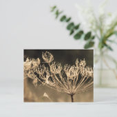 くもの巣と水inセピア ポストカード (スタンド正面)