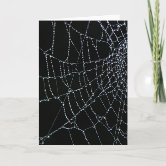 くもの巣の驚異 カード (正面)