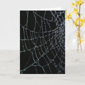 くもの巣の驚異 カード (黄色い花)