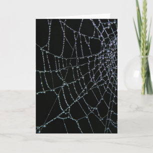 くもの巣の驚異 カード