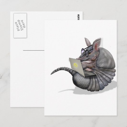 くもの巣のdillo ポストカード (正面/裏面)