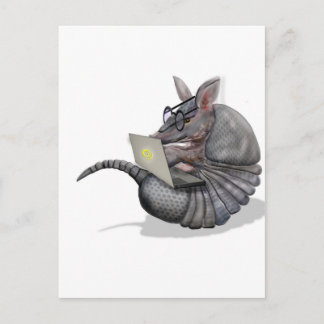 くもの巣のdillo ポストカード