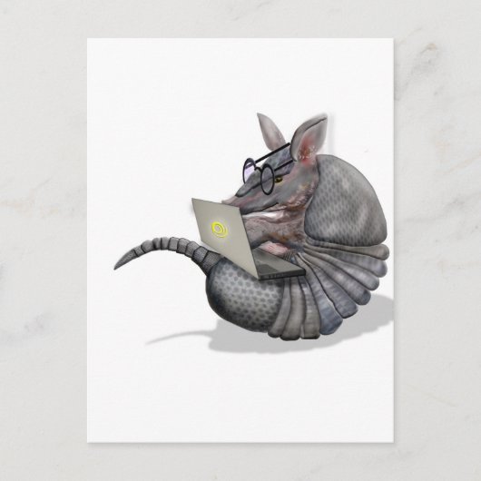 くもの巣のdillo ポストカード (正面)