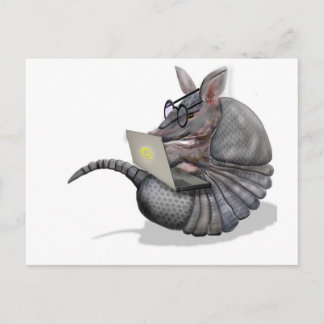 くもの巣のdillo ポストカード