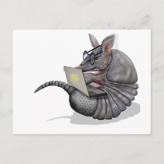 くもの巣のdillo ポストカード (正面)