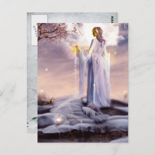 くもの巣ウィーバーポストカード ポストカード (正面/裏面)