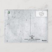 くもの巣ウィーバーポストカード ポストカード (裏面)