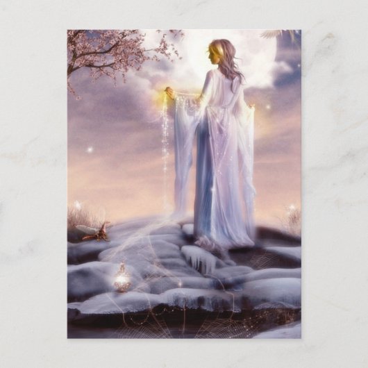 くもの巣ウィーバーポストカード ポストカード (正面)