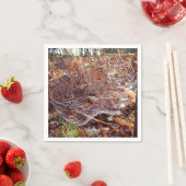 くもの巣オブヨーロッパガーデンスパイダー紙ナプキンス スタンダードカクテルナプキン (インサイチュ)