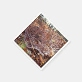 くもの巣オブヨーロッパガーデンスパイダー紙ナプキンス スタンダードカクテルナプキン (角)