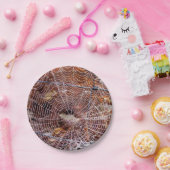 くもの巣オブヨーロッパガーデンスパイダー紙プレート ペーパープレート (パーティー)