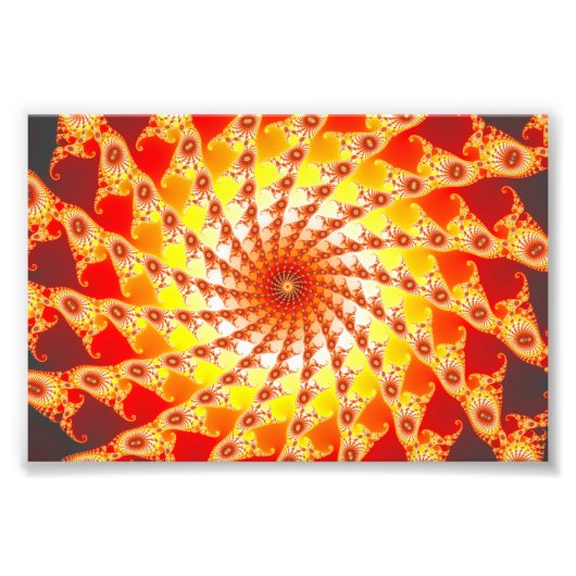 くもの巣 フォトプリント            (正面)