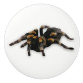 くもの引き セラミックノブ (正面)