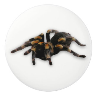 くもの引き セラミックノブ